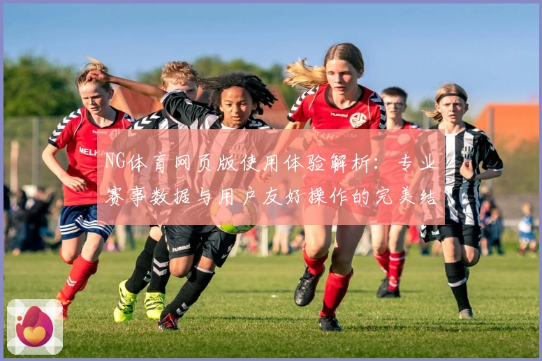 NG体育网页版使用体验解析：专业赛事数据与用户友好操作的完美结合