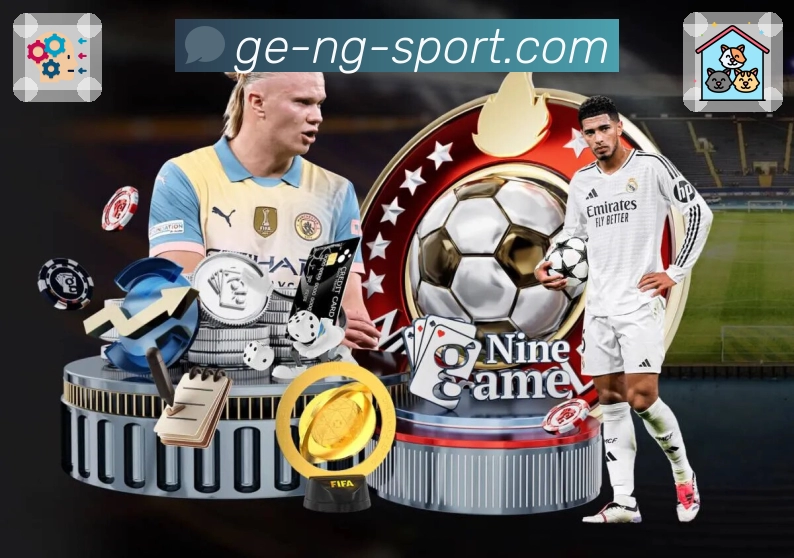 NG体育平台介绍